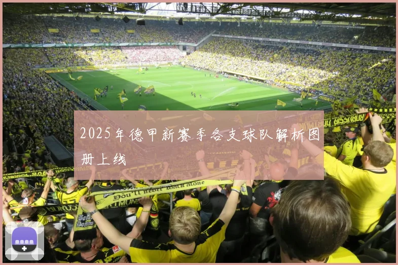 2025年德甲新赛季各支球队解析图册上线