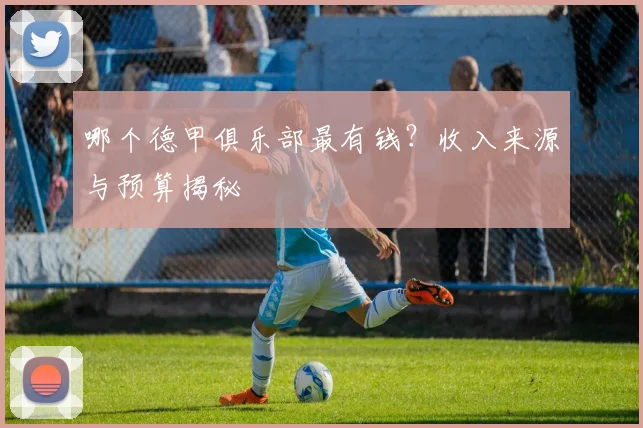 哪个德甲俱乐部最有钱？收入来源与预算揭秘