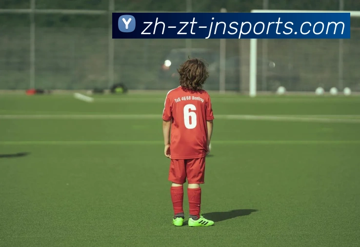 江南体育APP 封面图